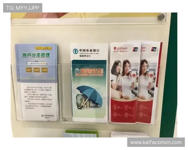 凯发K8国际站支付方式介绍：多渠道便捷充值方式满足不同用户的支付需求